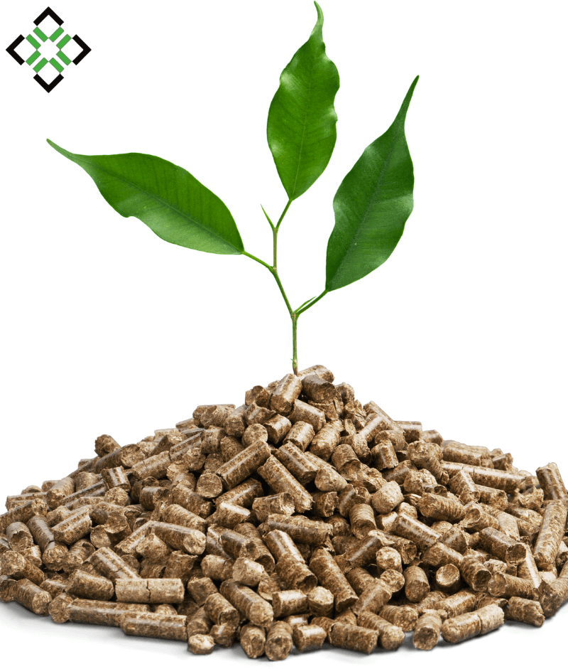 Peleti bkwood Peleti bkwood